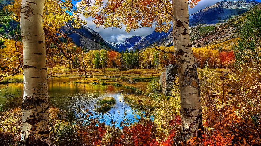 Визуализация есен, бреза, цвят, боя, растения, езерце, планина HD тапет