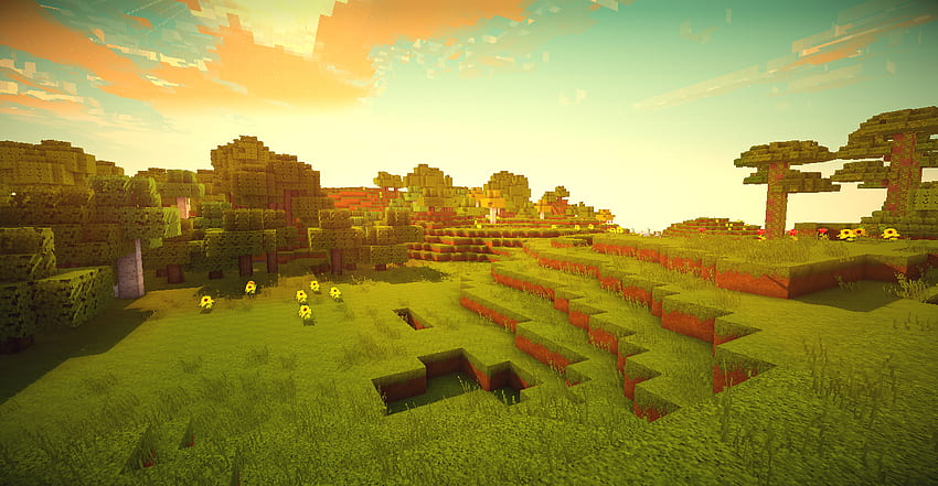 Minecraft-Shader-Hintergrund, Minecraft Plains HD-Hintergrundbild