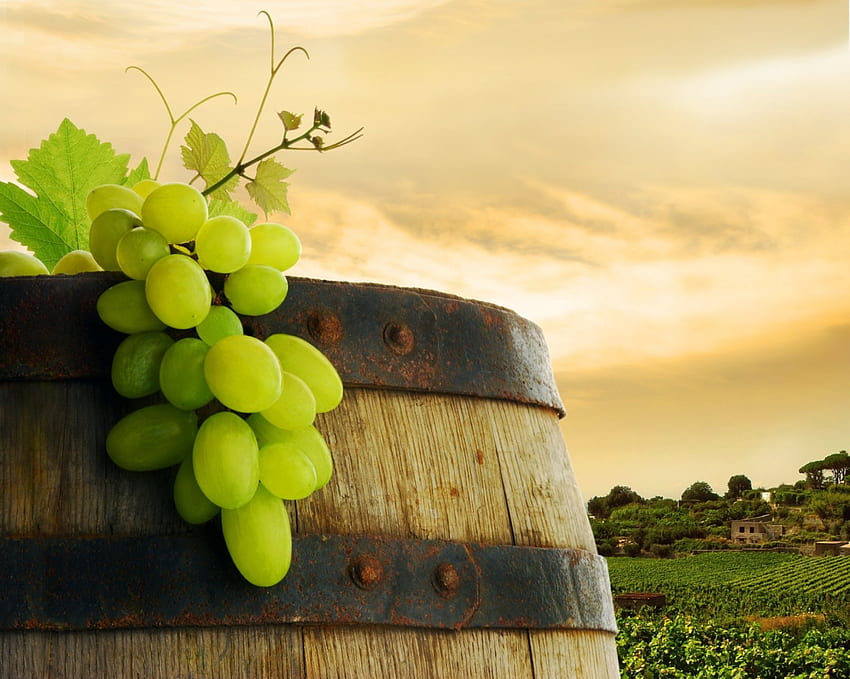 Grapes and wine, grape, fruit, food, barrel HD wallpaper