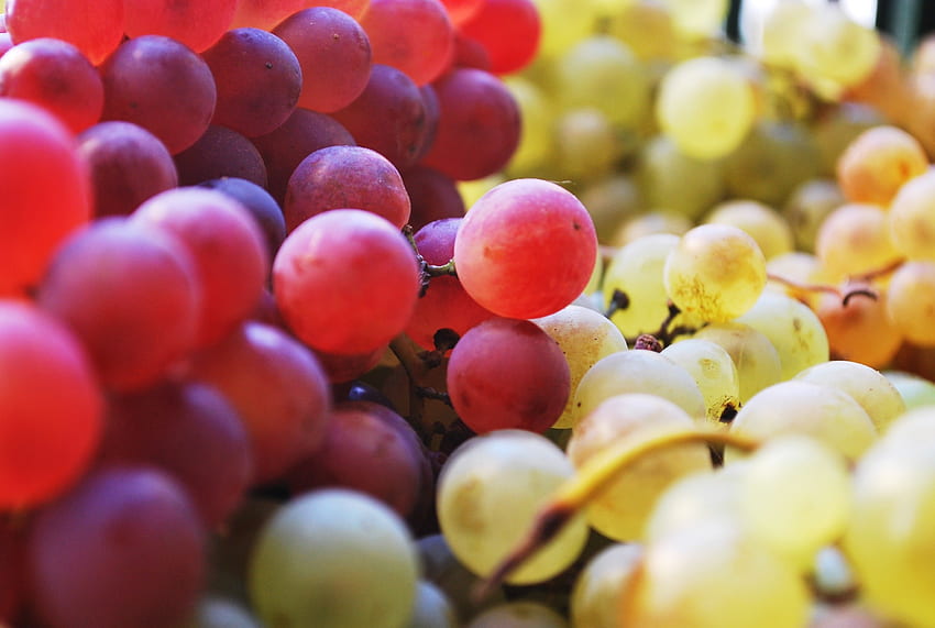 Owoce, jedzenie, winogrona, jagody Tapeta HD