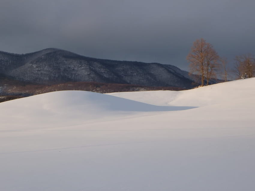 Quiet Hills in Winter, winter, hills, snow, snow field, mountains HD wallpaper