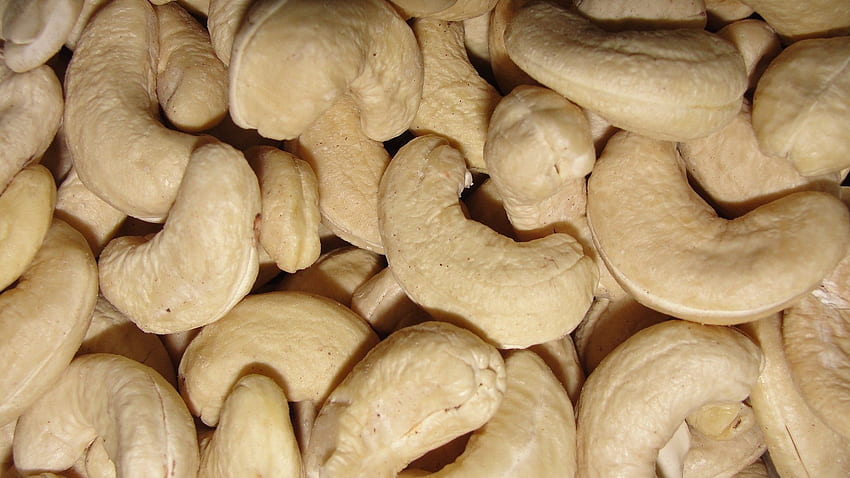 Cashew and Background HD wallpaper