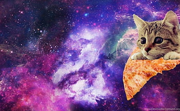Galaxy Cat wallpaper lockscreen  Cat tattoo designs Cat tattoo Galaxy  cat