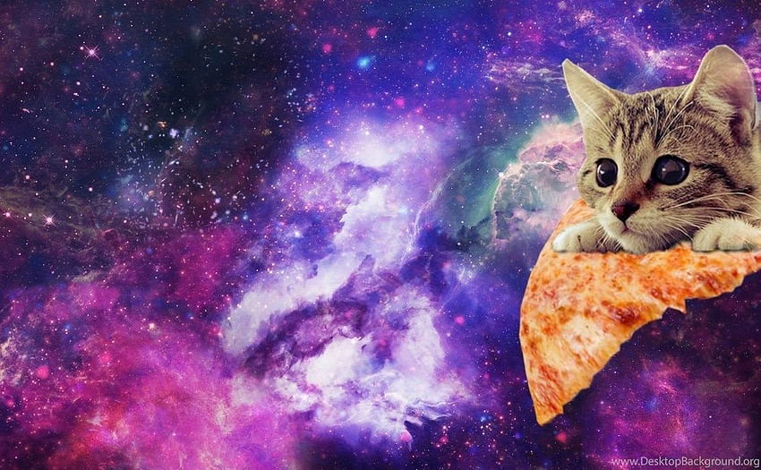 Fundo de Imgur de gato de pizza espacial, incrível galáxia de gato papel de parede HD