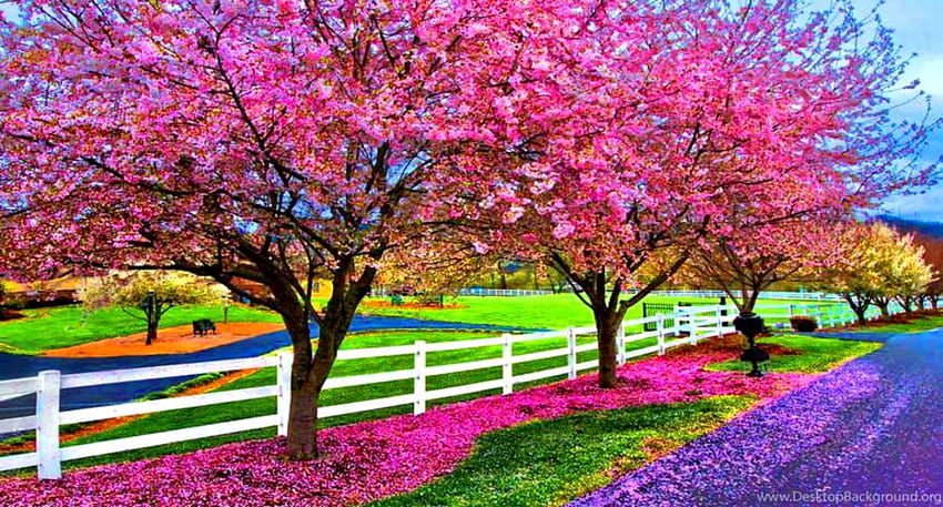 Компютър за красив пролетен ден - Пролет, красива природа, красота HD тапет