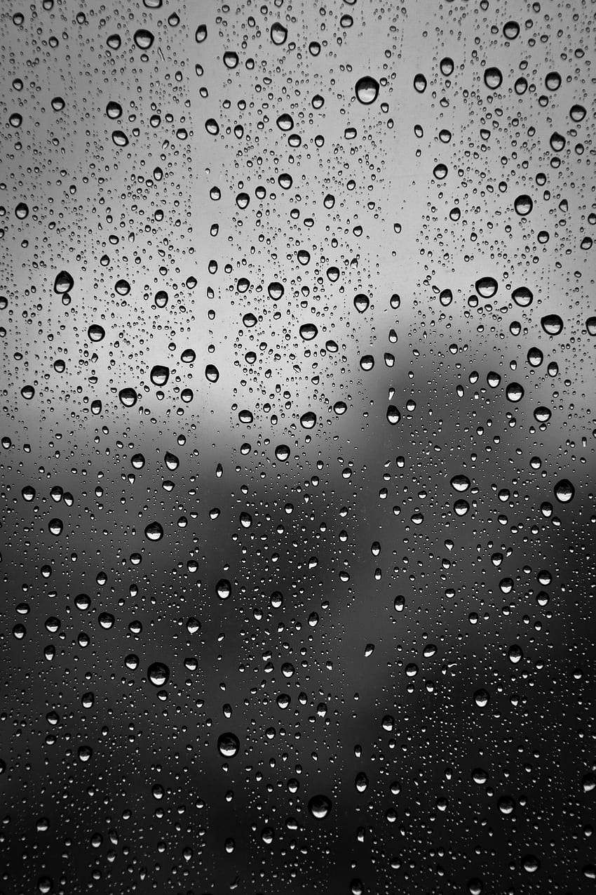 Drops, Macro, Glass, Bw, Chb HD phone wallpaper | Pxfuel