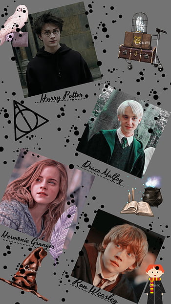 Harry P Wallpapers HD on X: 