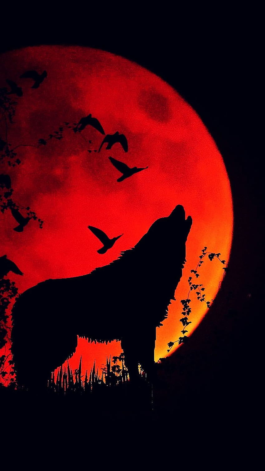 wolf, howl, silhouette, full moon, fire HD phone wallpaper