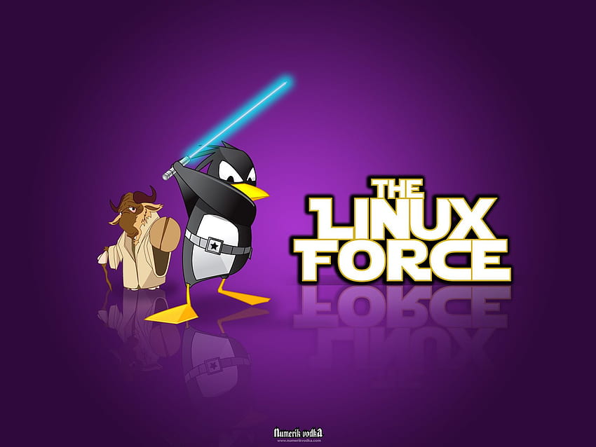 45 Awesome Linux, Linux Penguin HD wallpaper
