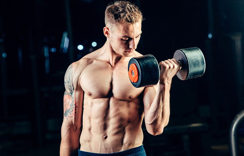 Man, Muscles, Tattoo, Fitness, Gym - Men Gym Workout - HD wallpaper