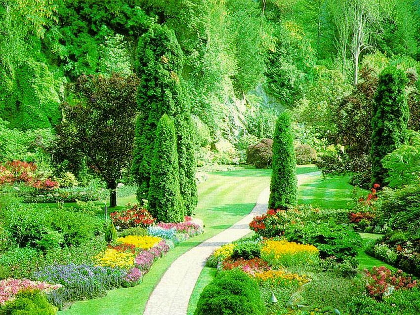 Резултат от Google за Img1 13 10. Красиви градини, Градина с красиви цветя, Красива природа, Зелена природа HD тапет
