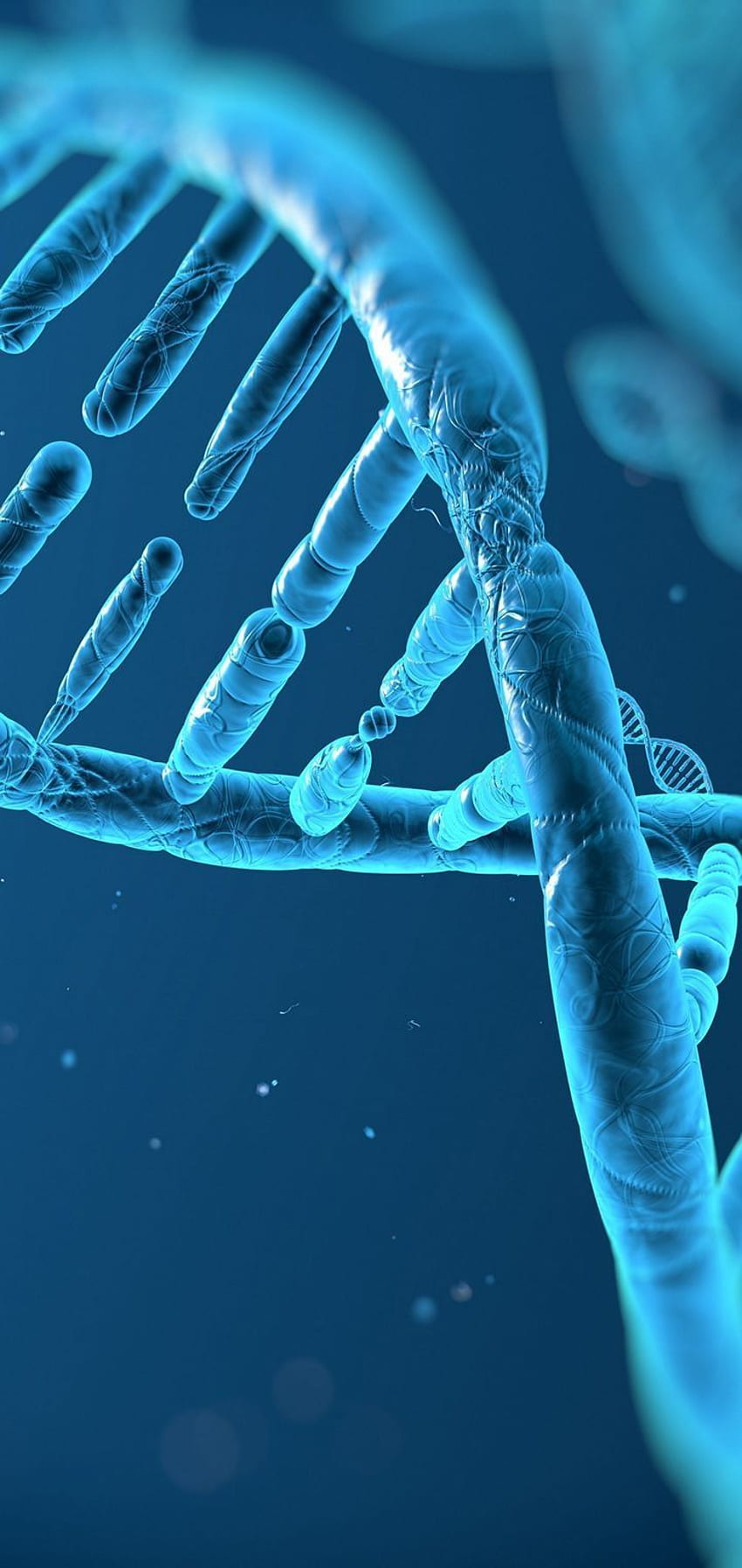 DNA 3 D 構造分子 - []。 DNA 3D, かわいい , 医療の HD電話の壁紙