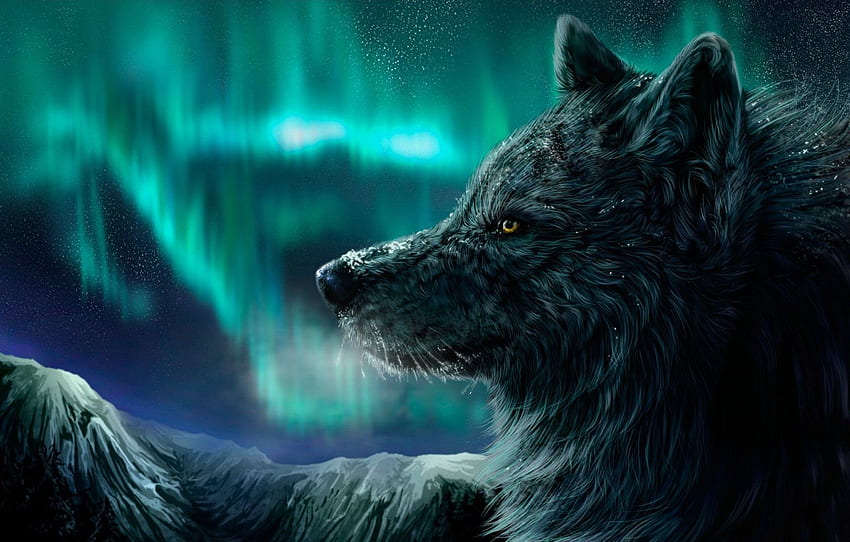 พิมพ์ใส่กรอบ - Black Wolf & The Northern Lights ( Poster Aurora Borealis) วอลล์เปเปอร์ HD