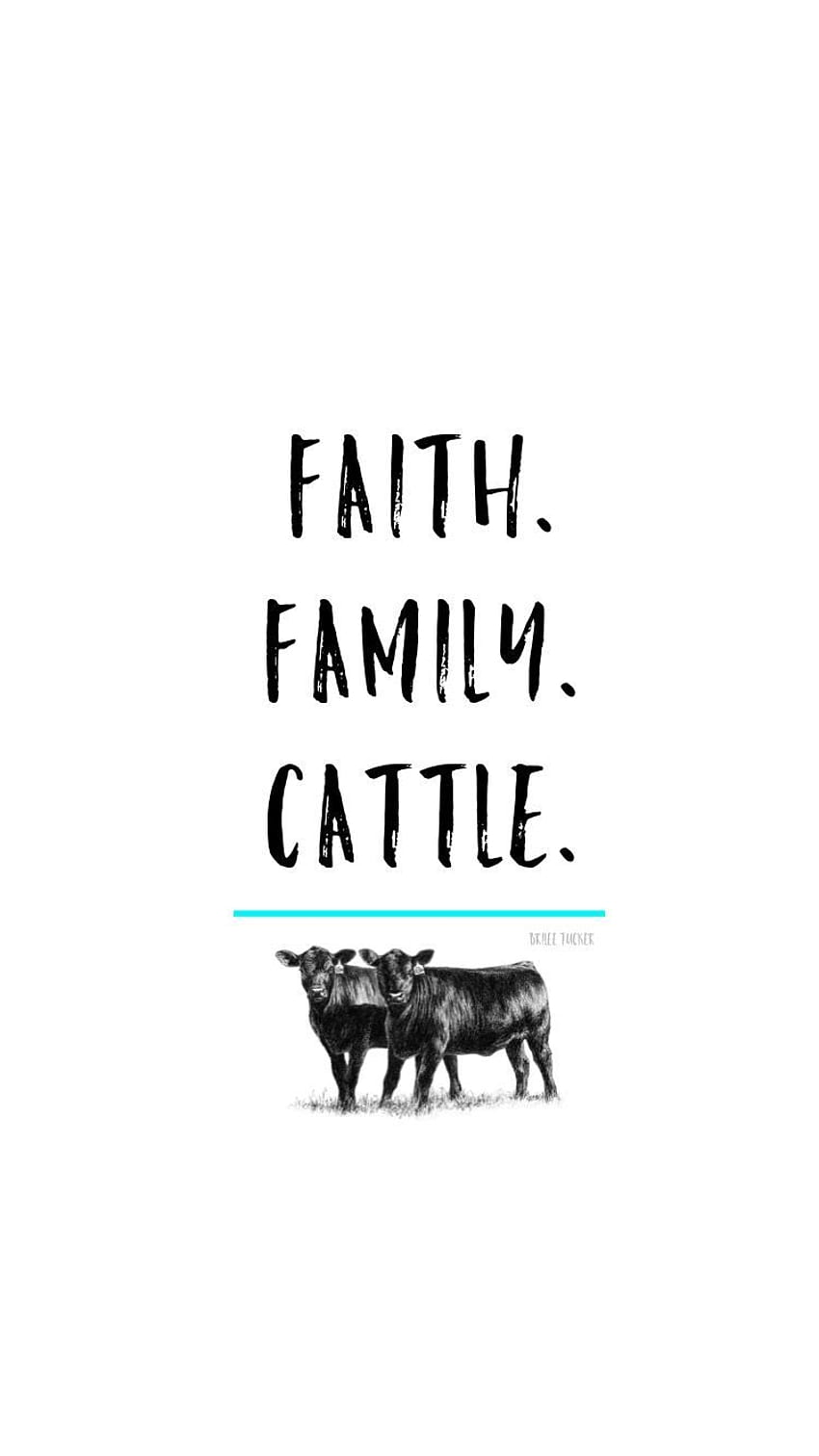 iPhone 6 . Faith, Family, Cattle. Angus Cow. Livestock quotes, Cow quotes, Cattle HD phone wallpaper