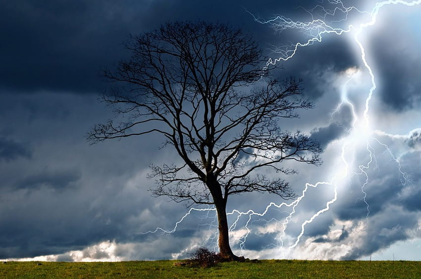 Árvores, Tempestade, Céu, Relâmpago, Chuva, Natureza, Perigoso - Fundo do Céu da Chuva, Chuva do Céu papel de parede HD