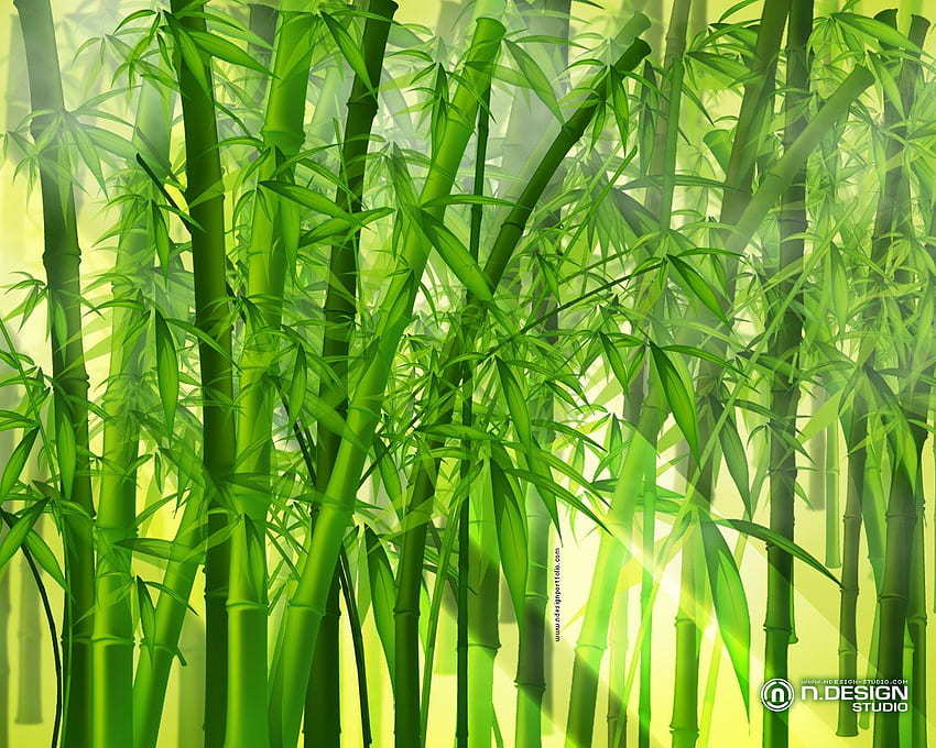 Download 1440p Bamboo Background Reflective Bamboo Stem  Wallpaperscom