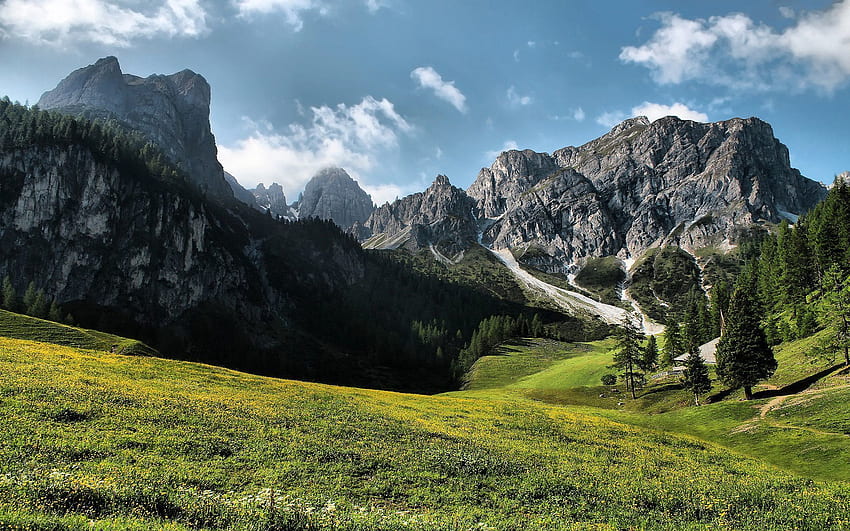 Pemandangan, Alam, Pegunungan, Musim Panas, Polyana, Glade, Day Wallpaper HD