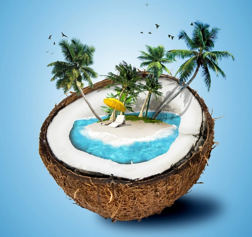 Coconut Island, mer, île, été, palmier, créatif, fantaisie, noix de coco, eau Fond d'écran HD