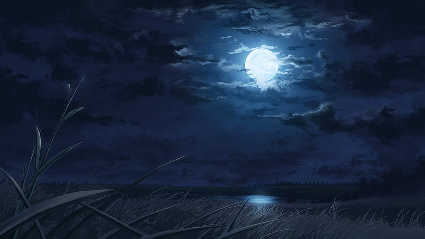 Ruhige Nacht, Feld, Nacht, Wolken, Mond HD-Hintergrundbild