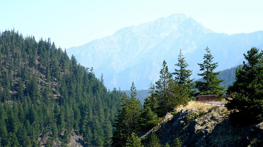 Diablo Overlook, wąwóz, Waszyngton, drzewa, panoramiczny, góry Tapeta HD