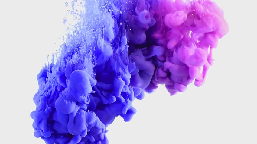 Color Explosion, Colour Burst HD wallpaper