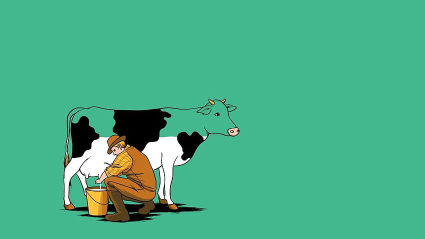 Cow Milking . HD wallpaper