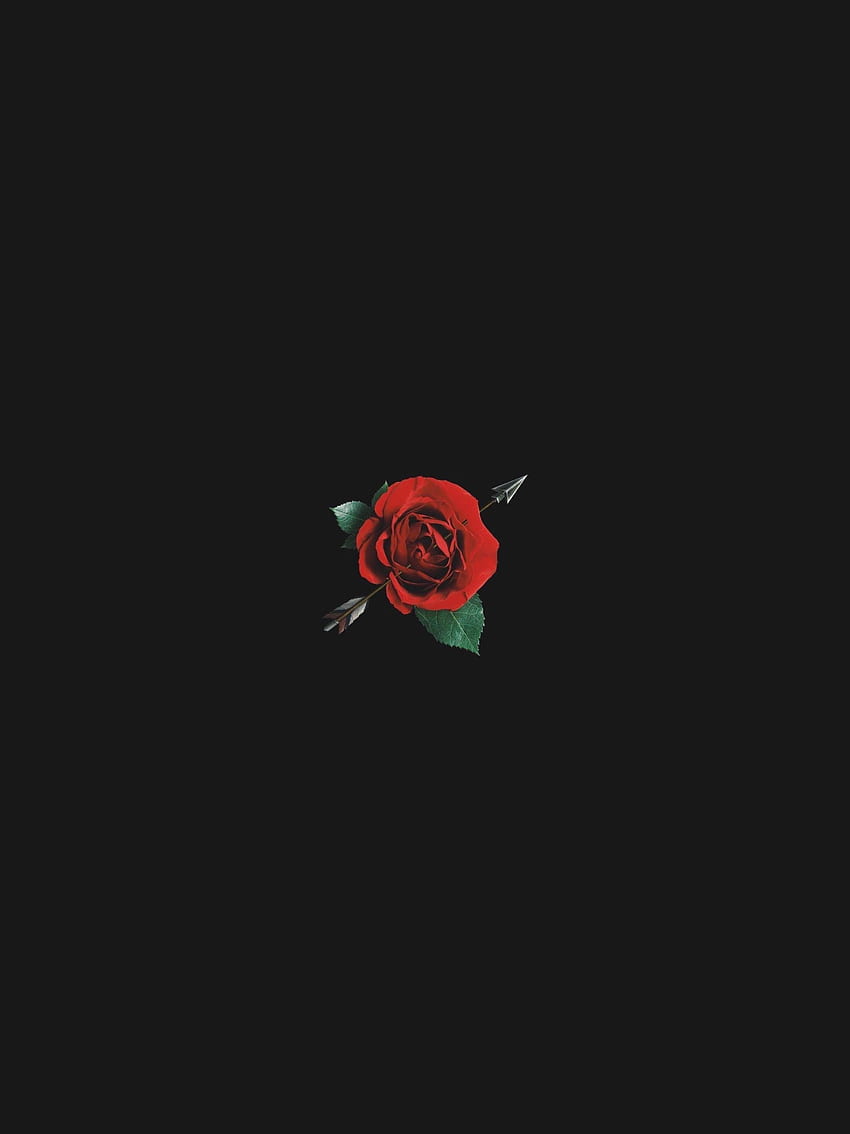 Dark Aesthetic Rose Blurry Rose [] สำหรับมือถือและแท็บเล็ตของคุณ สำรวจความงามของกุหลาบแดง กุหลาบแดง Aesthetic , Red Aesthetic , Red Roses , Cute Aesthetic Rose วอลล์เปเปอร์โทรศัพท์ HD