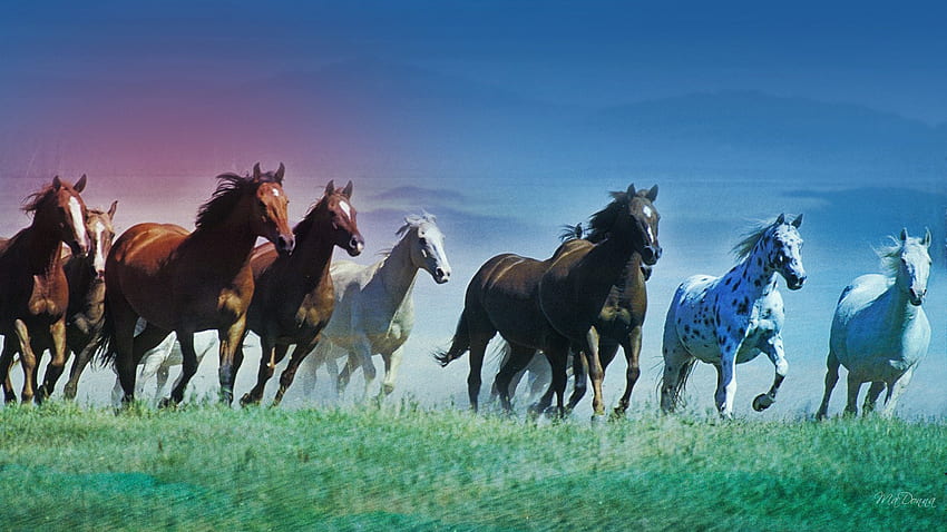 Selamanya , biru, kuda, berlari, persona firefox, rumput, merah muda, kuda, bidang, langit Wallpaper HD