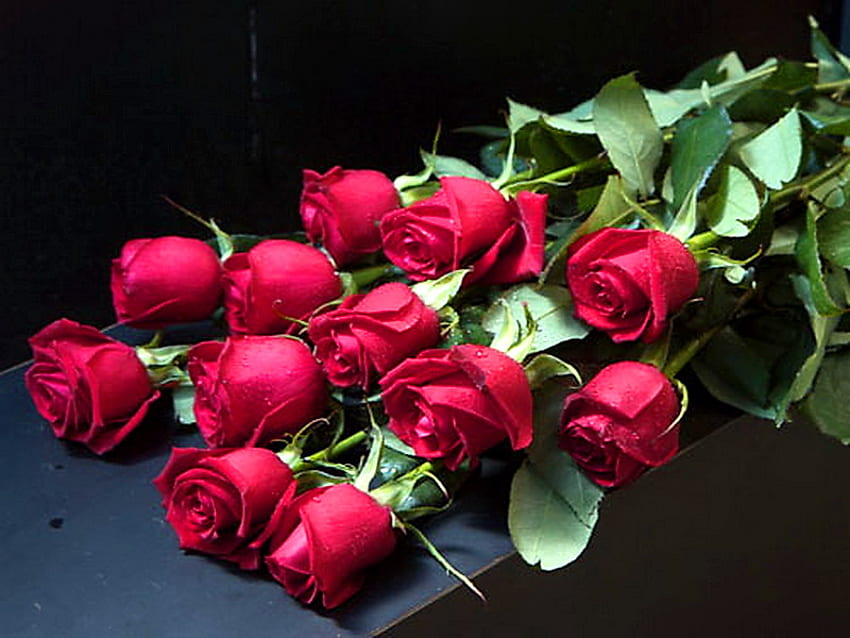 Roses of Love, green leaves, roses, dozen, red, flowers HD wallpaper