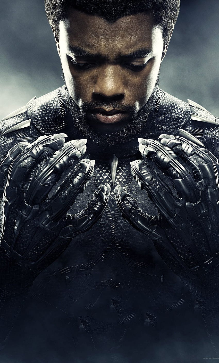 Chadwick Boseman Black Panther, Rip Black Panther HD phone wallpaper