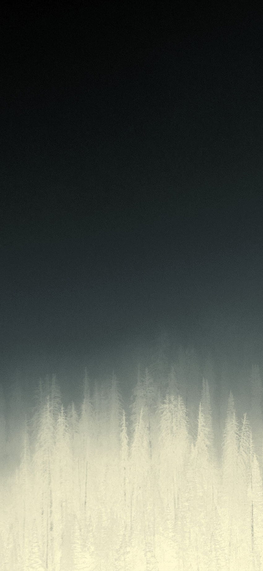 iPhone11 . fog minimal mountain wood nature blue dark, Minimalist 11 HD phone wallpaper