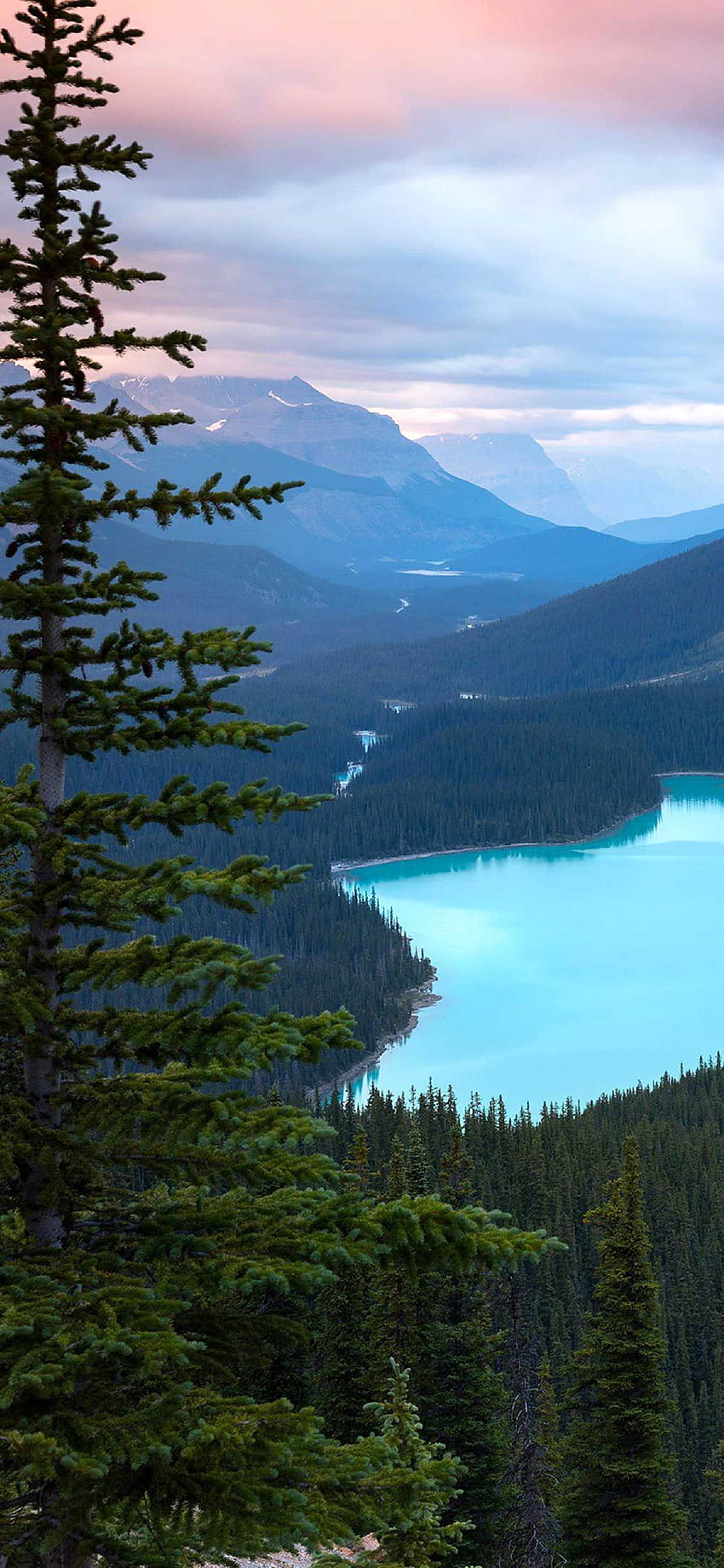 iPhone Pro ペイト湖カナダ山。 自然 iphone , iPhone カナダ, iPhone 旅行, カナダの森 HD電話の壁紙