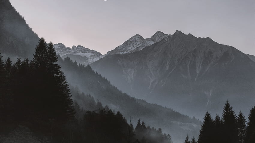 на планини, падаща звезда, дървета, мъглив фон и сива планина HD тапет