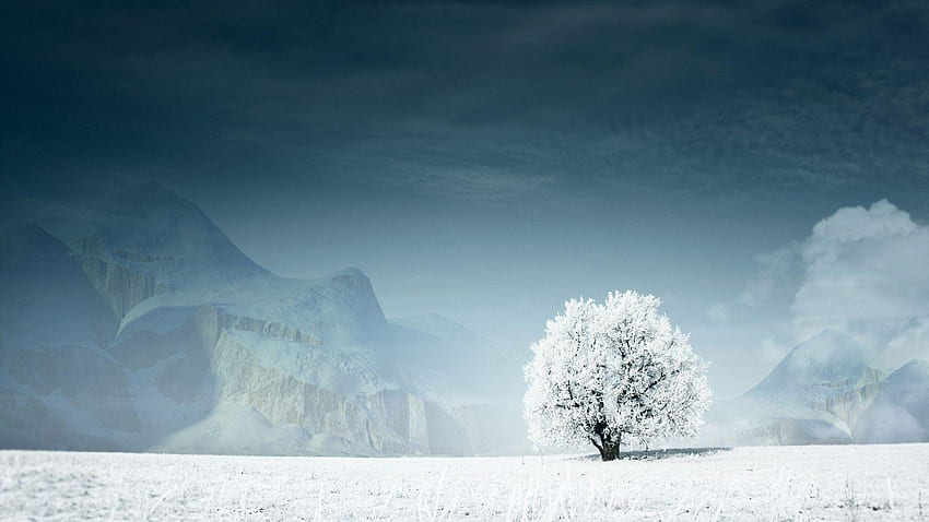 Neve, Natureza da Neve papel de parede HD