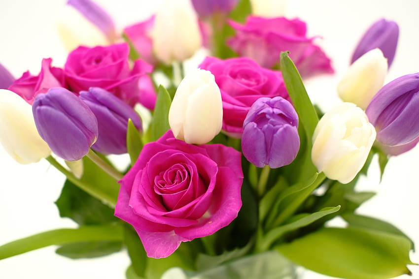 Bouquet, roses and tulips, flowers HD wallpaper