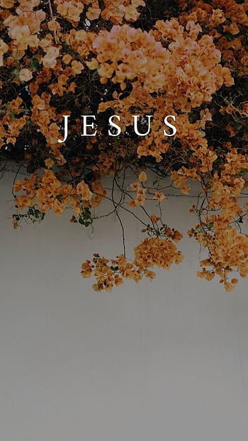 Jesus Aesthetic Wallpapers  Wallpaper Cave