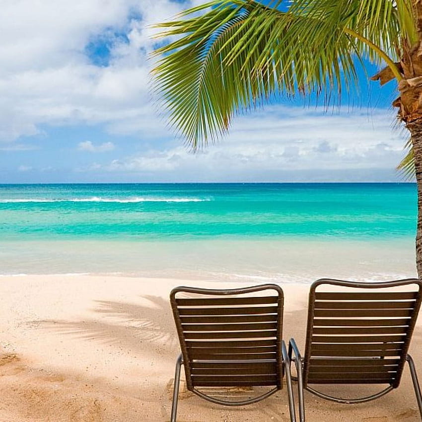 Luxury Goa Tour Packages. Holiday in Goa. Hawaii beaches, Beach , Beach iphone, Goa Beach HD phone wallpaper
