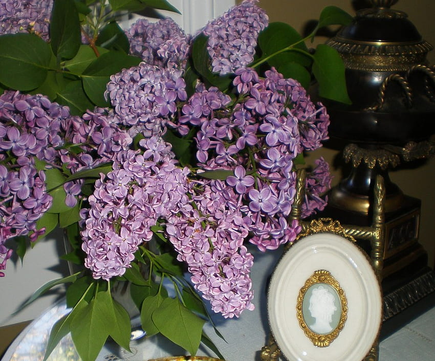 still life, purple, lilacs, vase, beautiful HD wallpaper