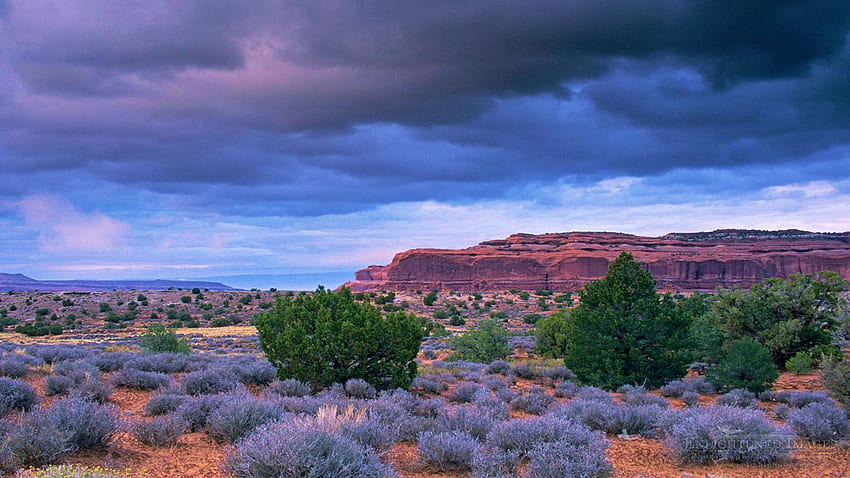 Nubes de tormenta sobre una mesa en el Parque Nacional Canyonlands, Utah, plantas, paisaje, cielo, montañas, rocas, EE.UU. fondo de pantalla