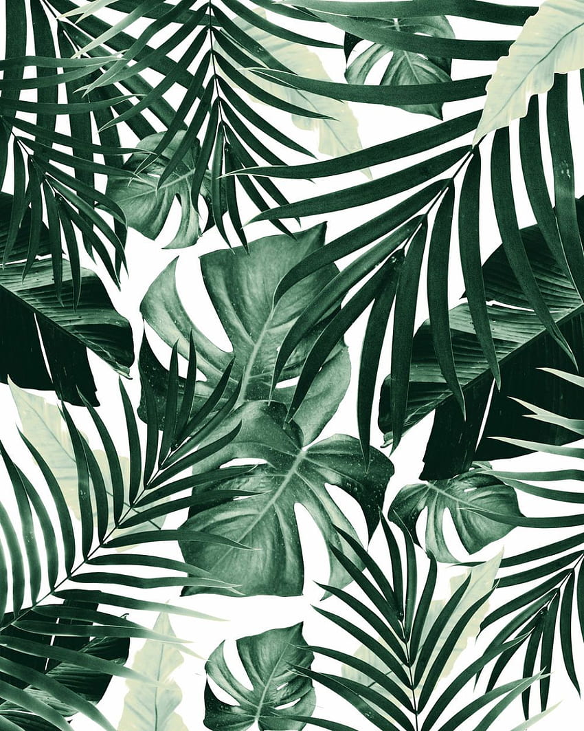 Tropical Jungle Leaves Pattern wallpaper ponsel HD