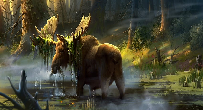Moose In The Swamp, swamp, plants, moose, fall HD wallpaper