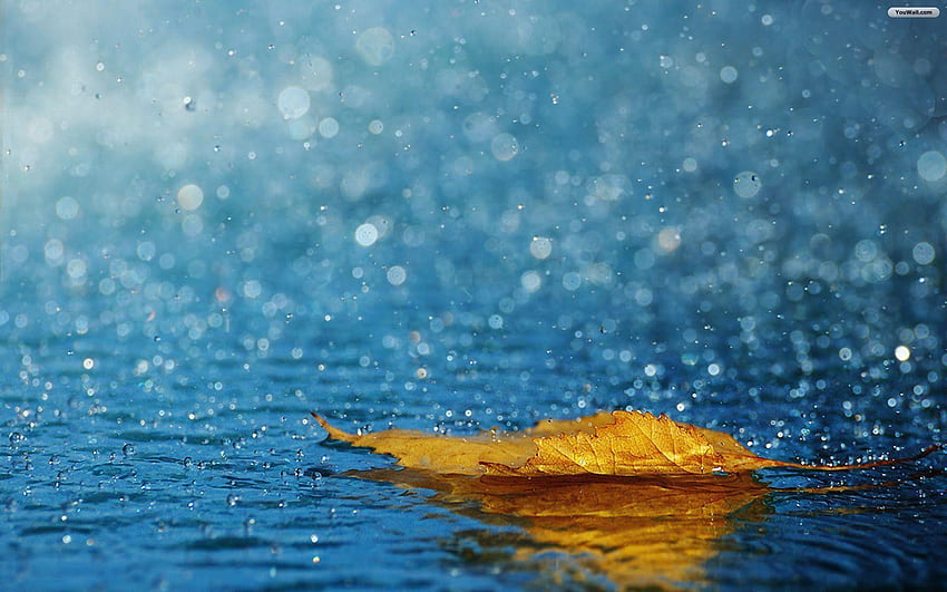 Raining, Baarish Ki Jaye HD wallpaper