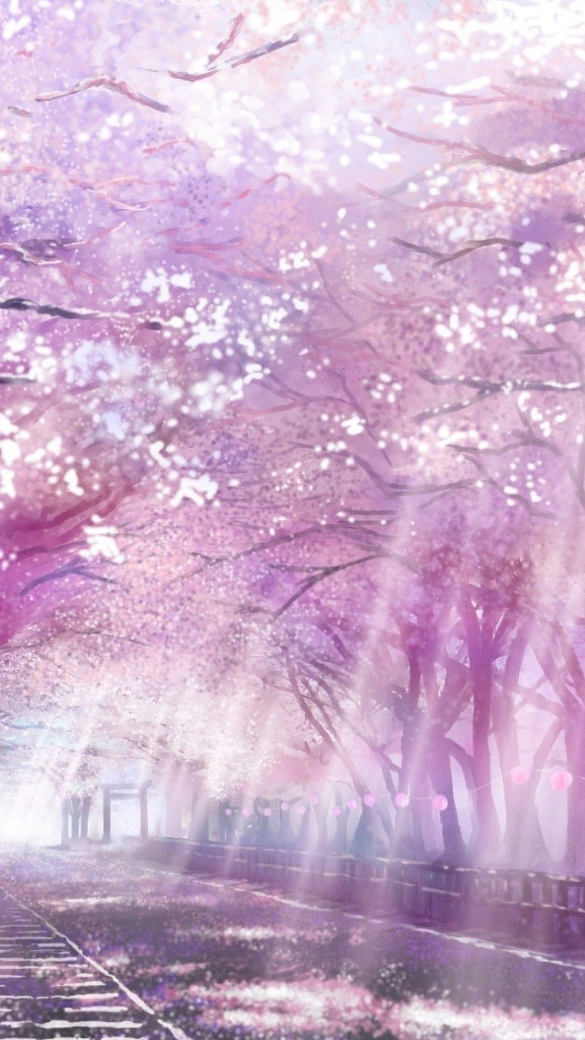Cherry Blossom аниме Mobile, аниме Sakura Flower HD тапет за телефон
