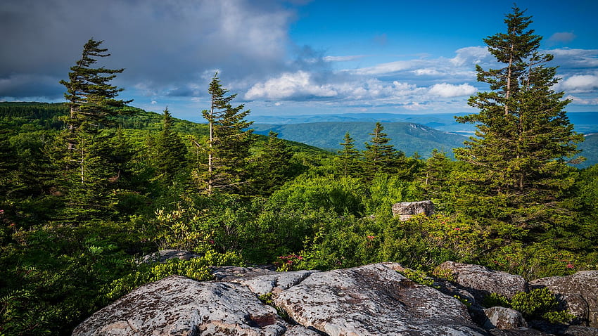 West Virginia Highlands, forest, rocks, landscape, trees, clouds, sky, usa HD wallpaper