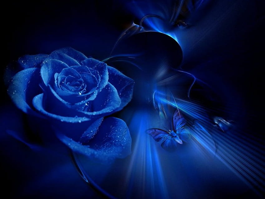 Blue Beauty - Blue Rose Angel, Angel Flower HD wallpaper