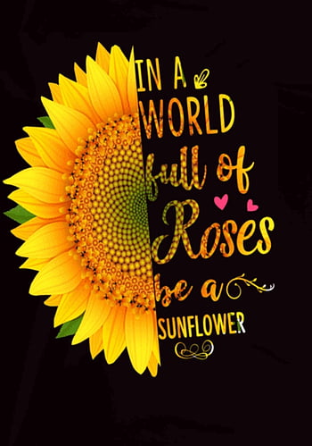 Sunflower aesthetic flower happy joy nice quote sun yellow HD  phone wallpaper  Peakpx