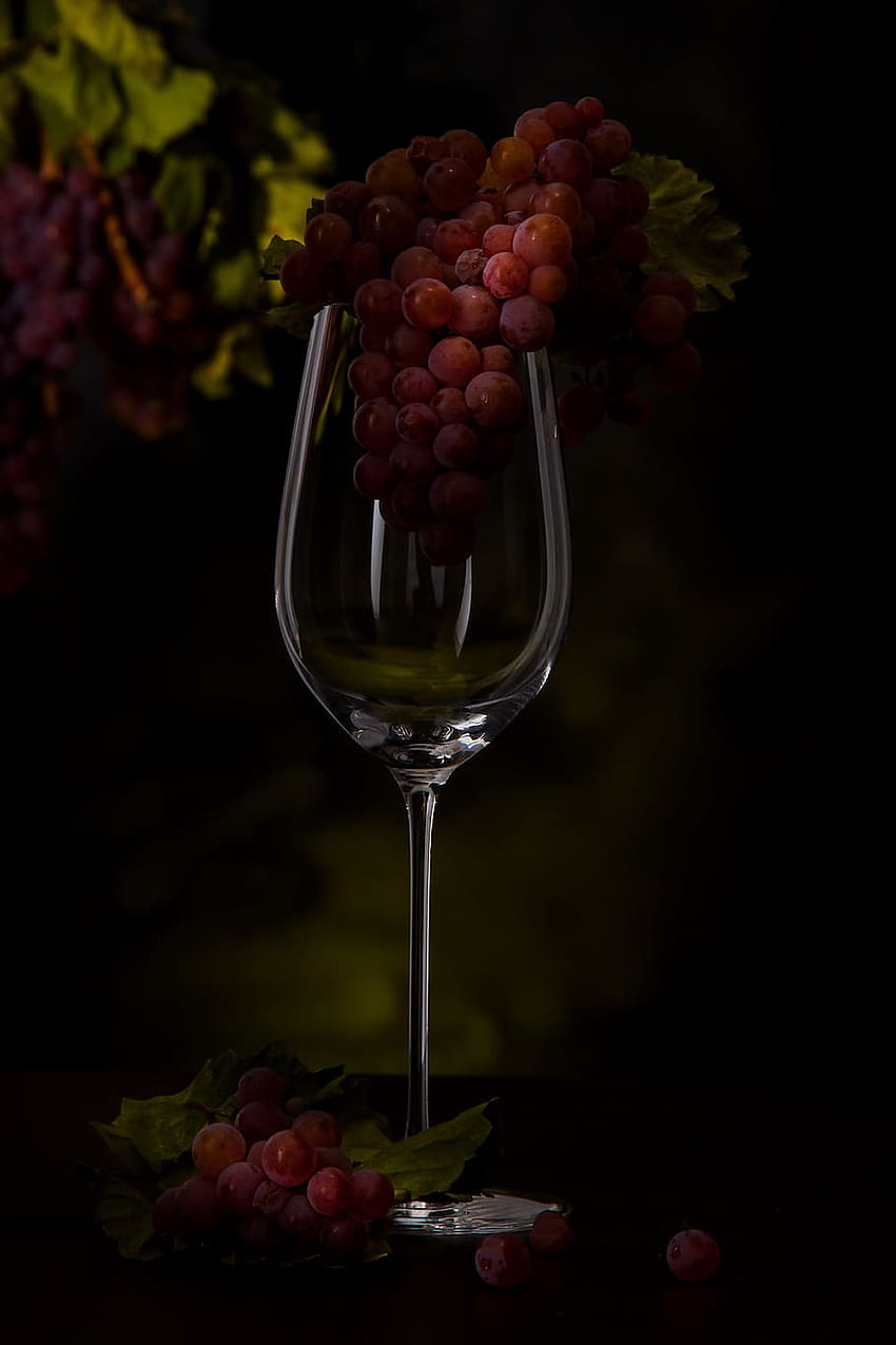 : grapes, wine glass, vines, vintage, drink, fruit HD phone wallpaper
