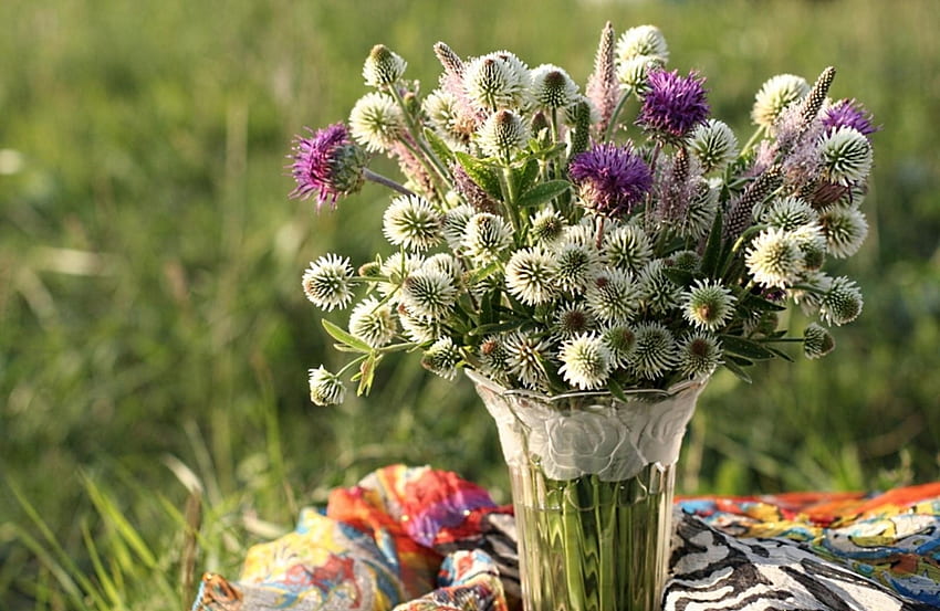 Flowers, Bouquet, Field, Vase, Clover, Thistle HD wallpaper
