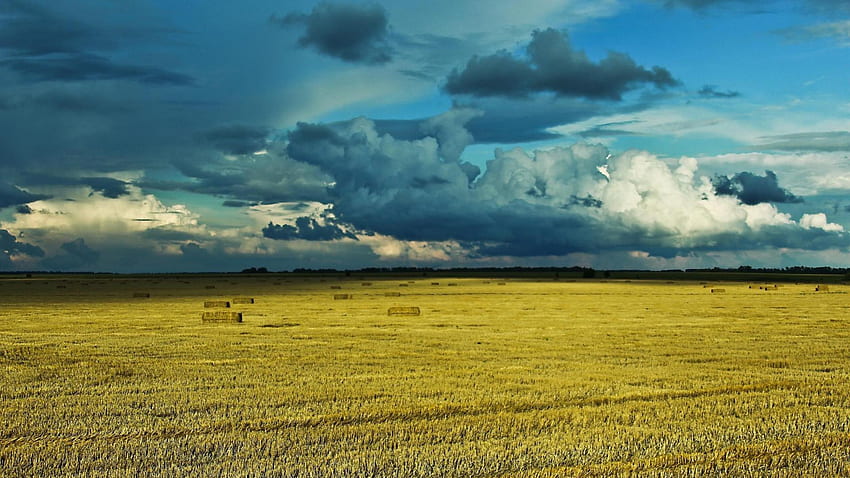 ทุ่งหญ้าธรรมชาติยูเครน วอลล์เปเปอร์ HD