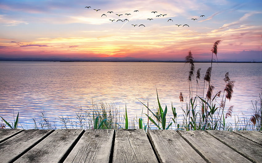 Lake View From Wooden Bridge . Lake View From Wooden HD wallpaper